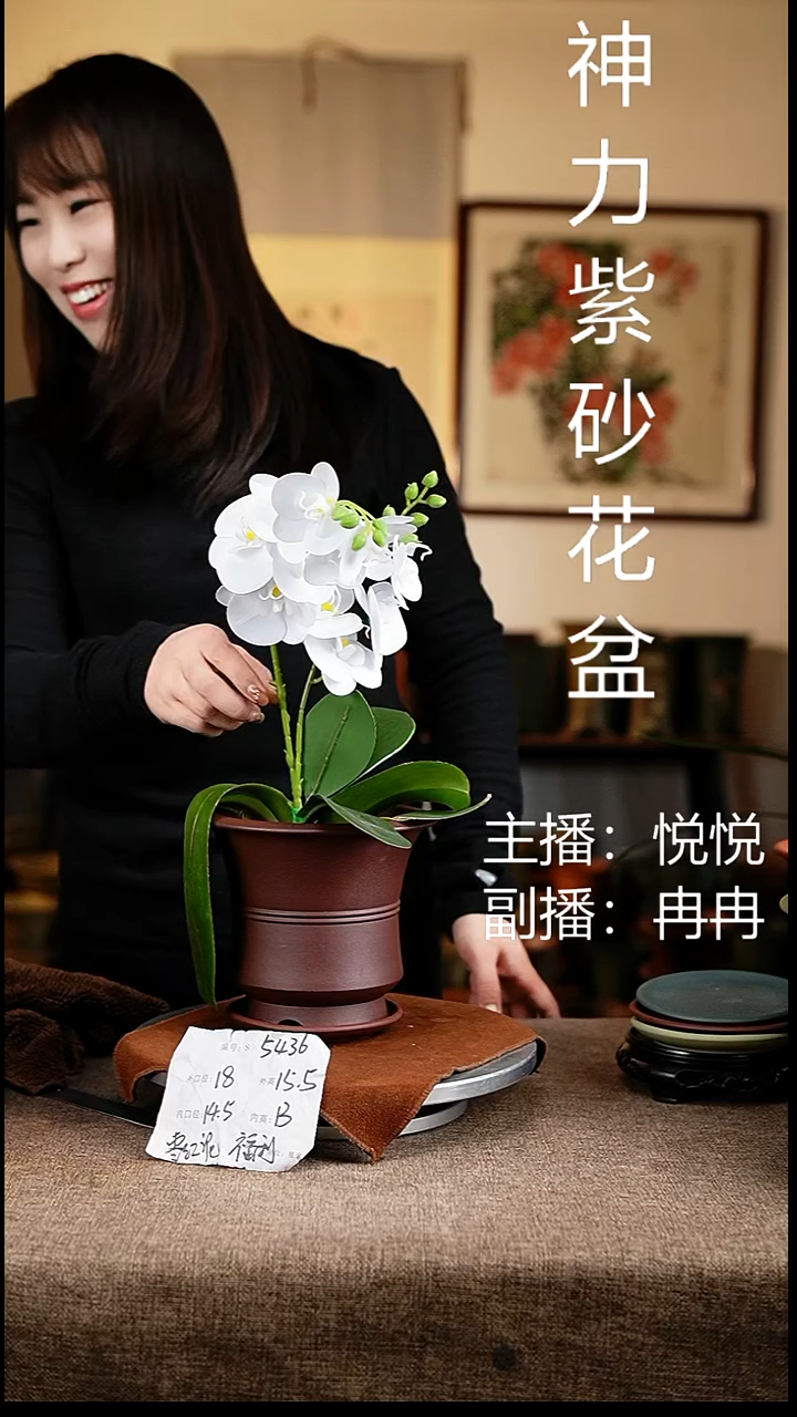 紫砂花盆花卉工艺5436+z