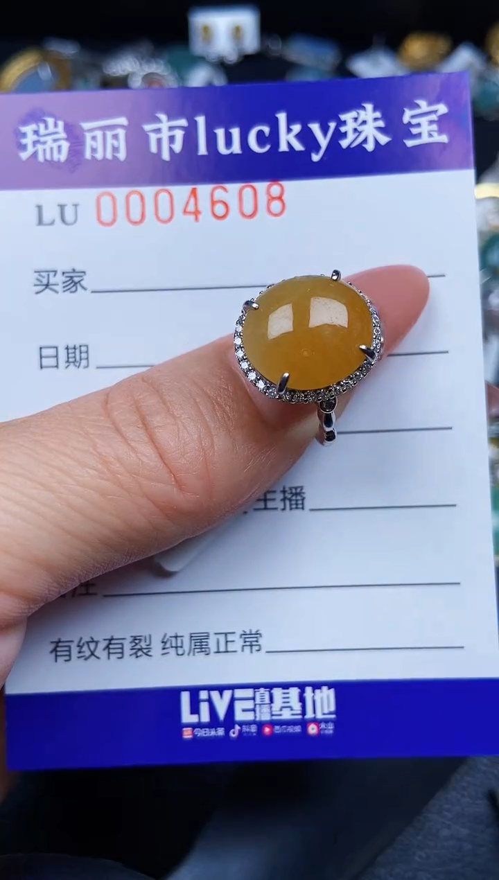 翡翠银S925镶嵌颈饰4608