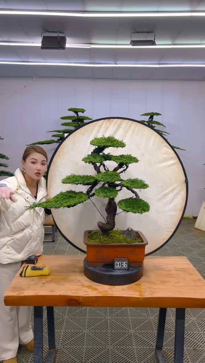 无花朵一物一拍一物一拍