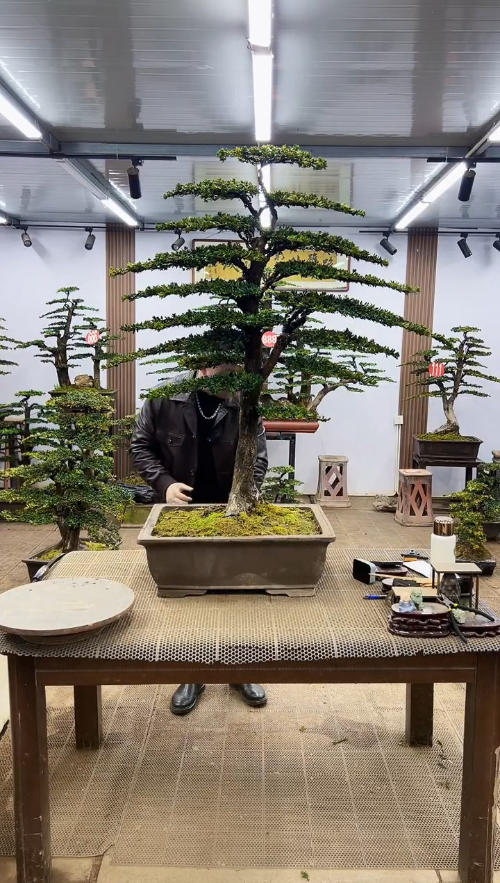 【闪购商品】0000000