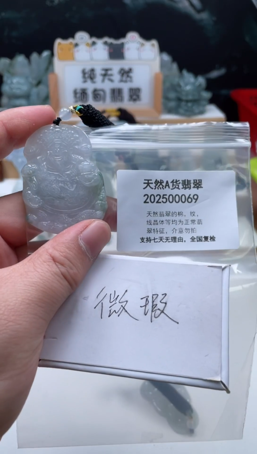 颈饰未镶嵌翡翠翠峰翡翠202512100037