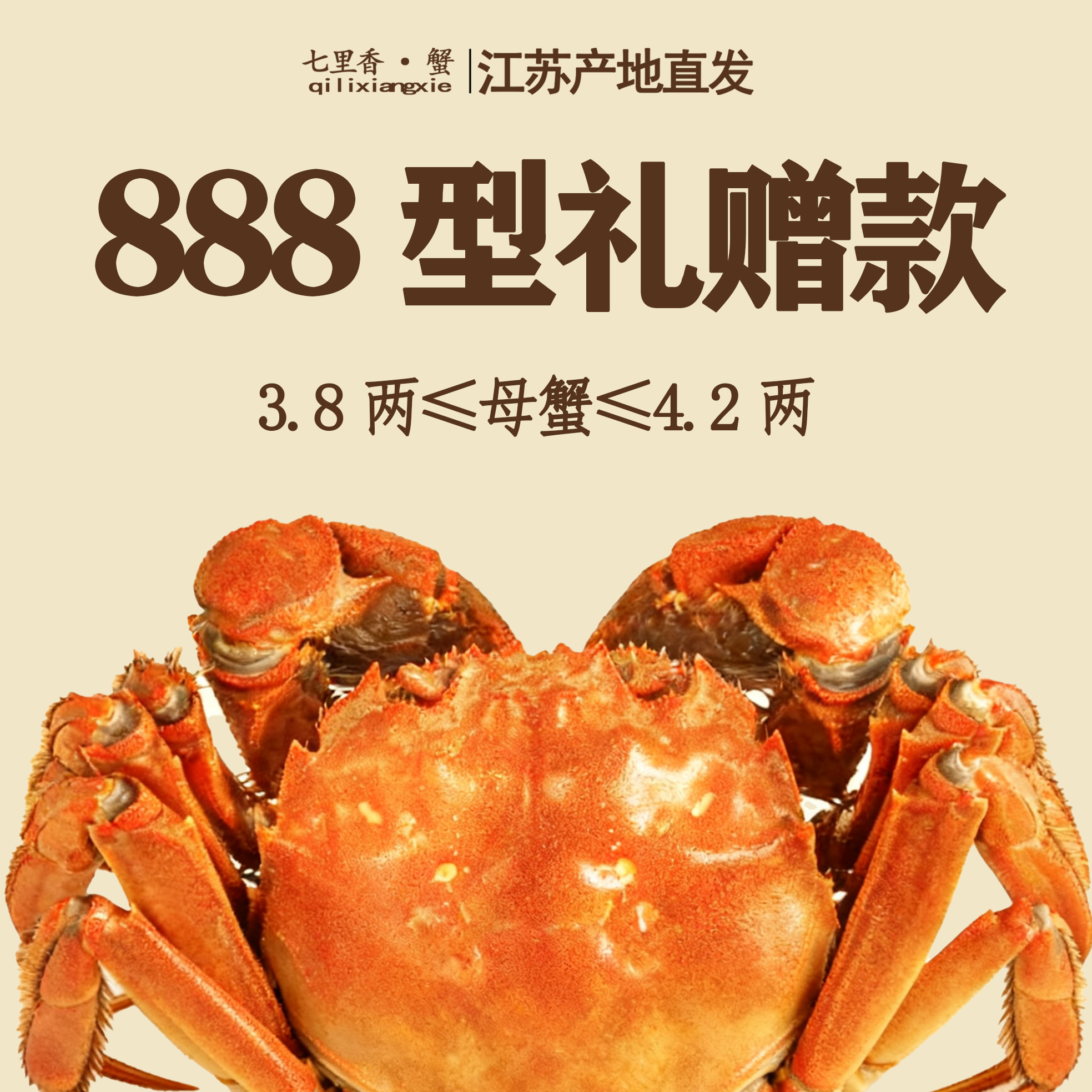 江苏鲜活大闸蟹纯母蟹3.8-4.2两 8只精品金标蟹全母 鲜活现捞