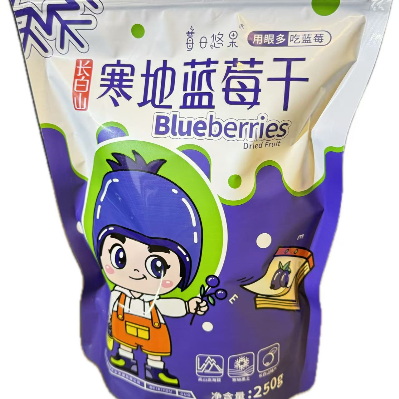 人工种植寒地蓝莓干