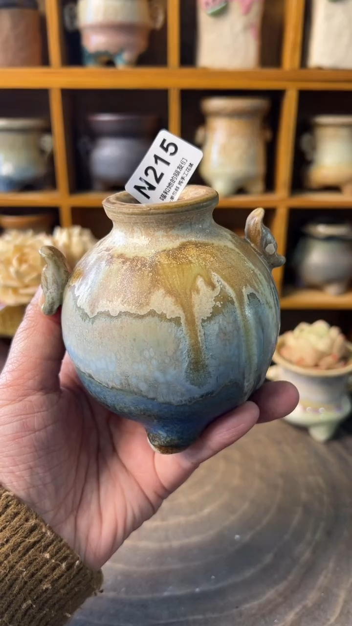 215 内口3【多肉花盆多肉盆】