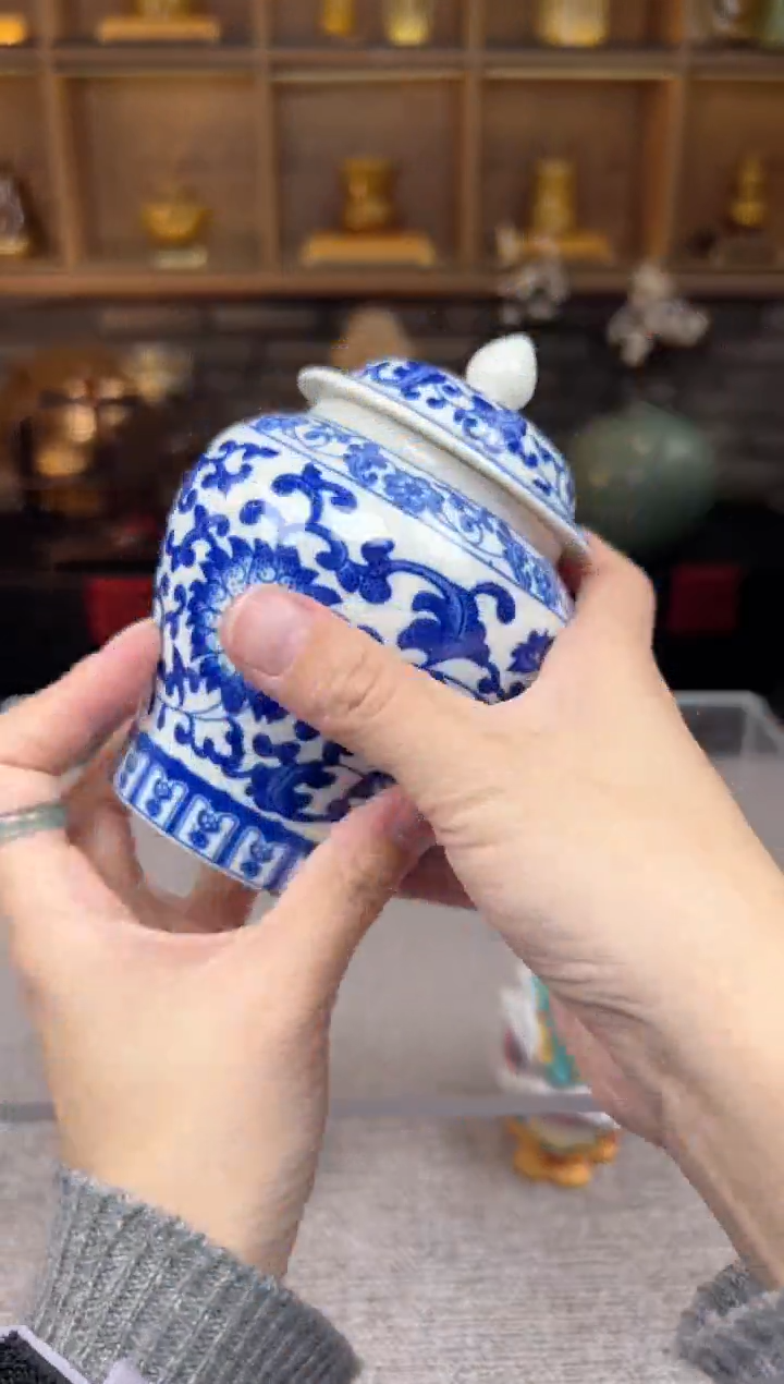 【闪购商品】无尽藏 专属福利单 VVV 