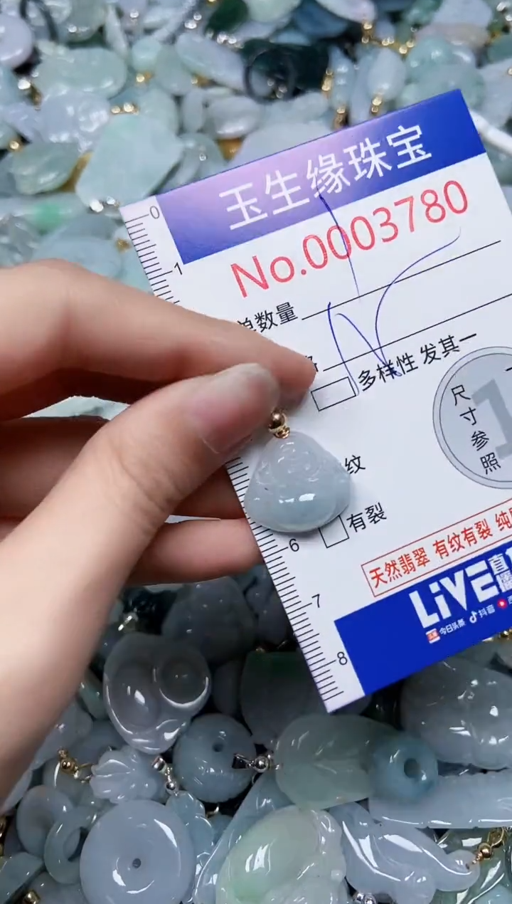 【闪购商品】翡翠颈饰未镶嵌闪购00003780