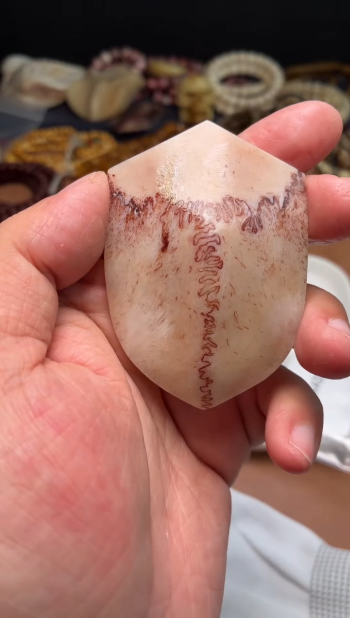 鹿骨其他母鹿三界A33