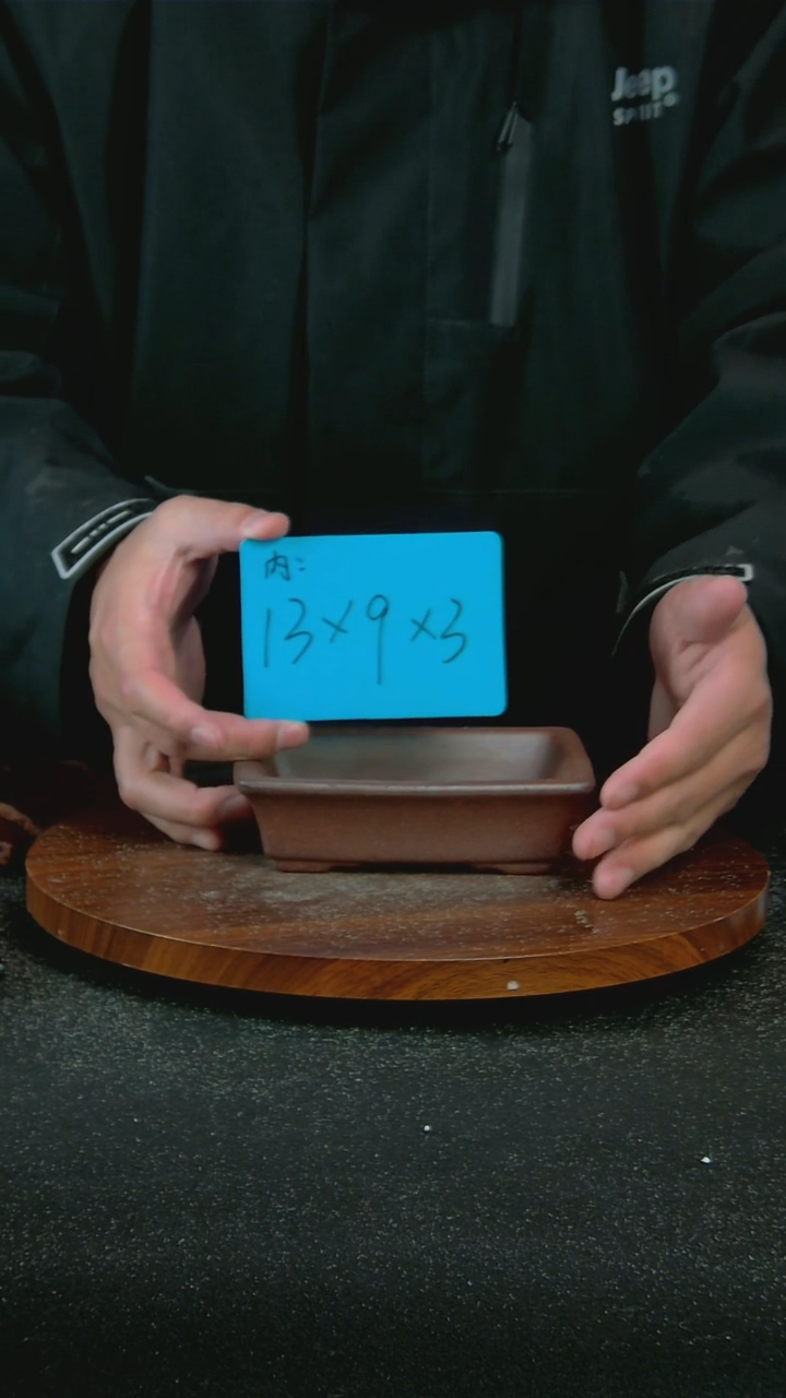 【闪购商品】紫砂P78