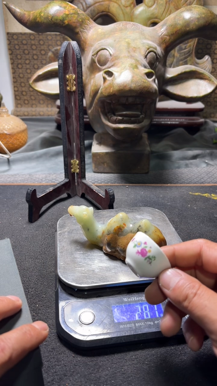 瓷片主播推荐好物