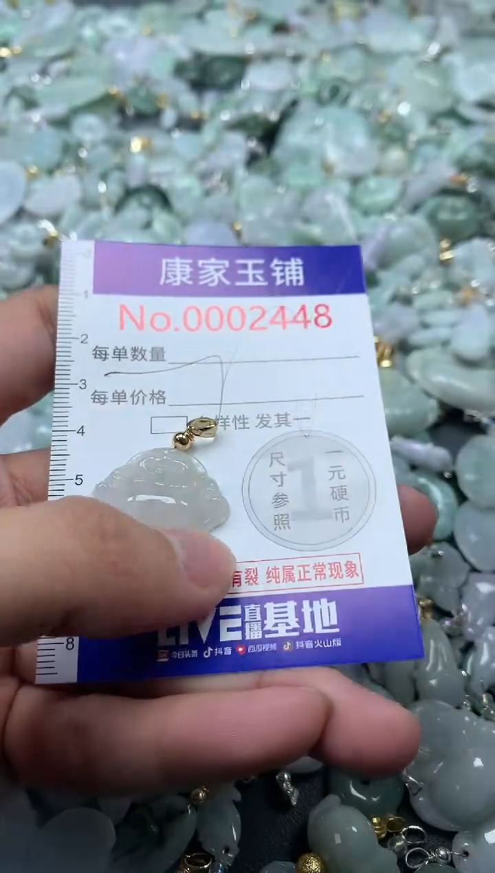 颈饰未镶嵌翡翠2448