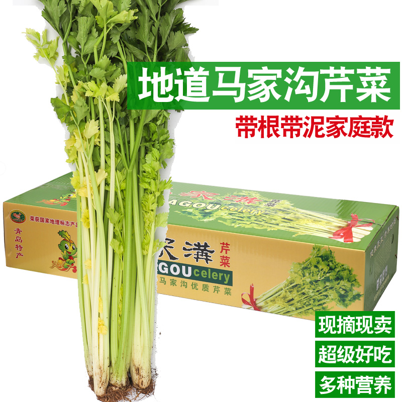 【福利】【半根】平度特产马家沟芹菜空心无筋田间直发新鲜营养芹菜
