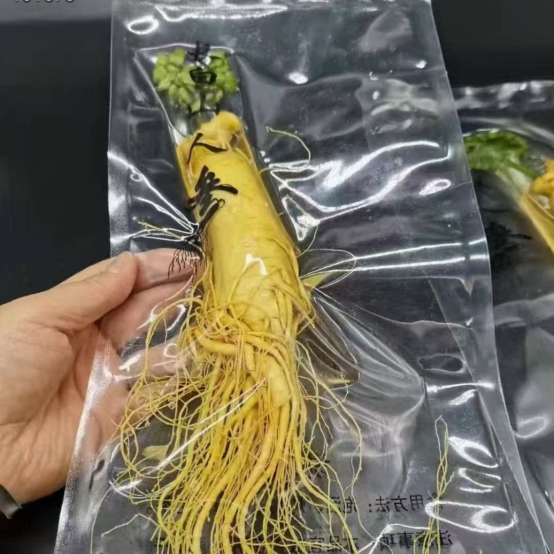 人参 鲜参纯天然无添加无公害