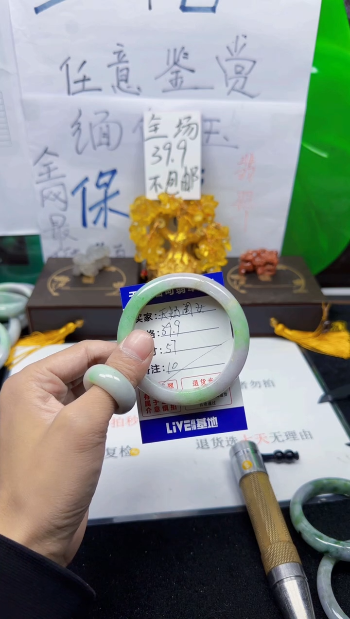 未镶嵌手镯翡翠天**女10