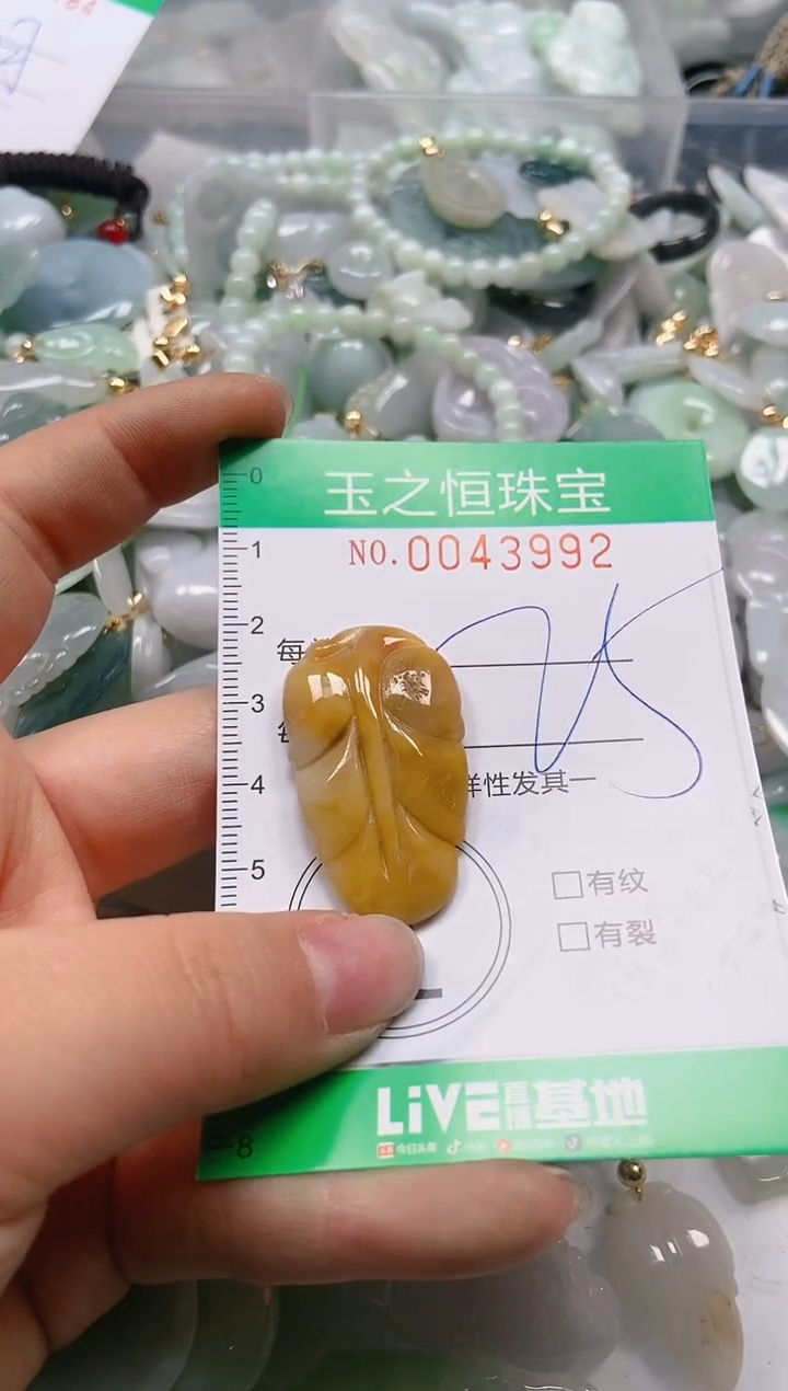 【闪购商品】翡翠颈饰未镶嵌闪购0043992