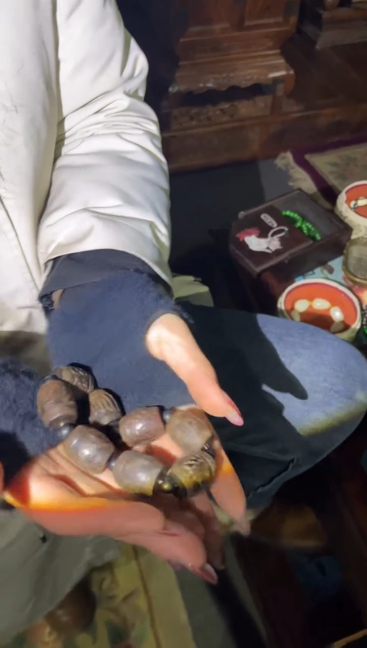 【闪购商品】香榧木84合合合合合合合合