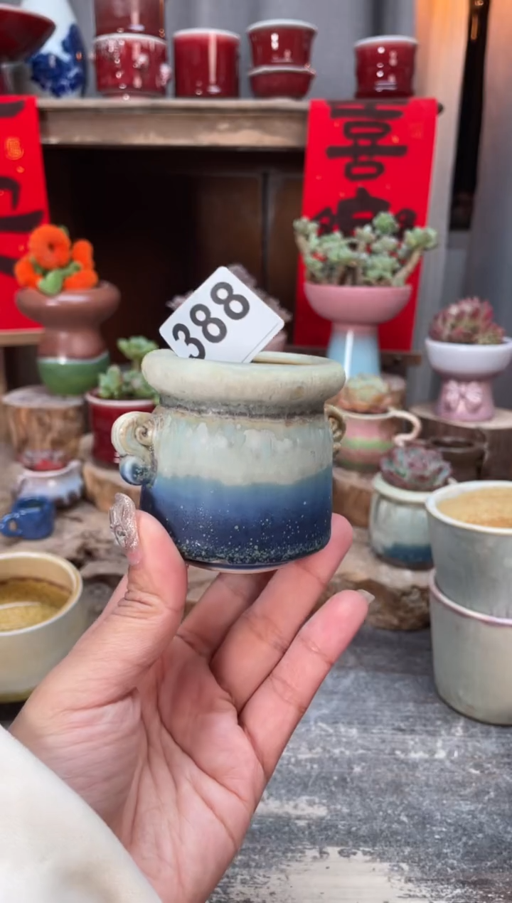 【闪购商品】摆件388知木小芳花盆