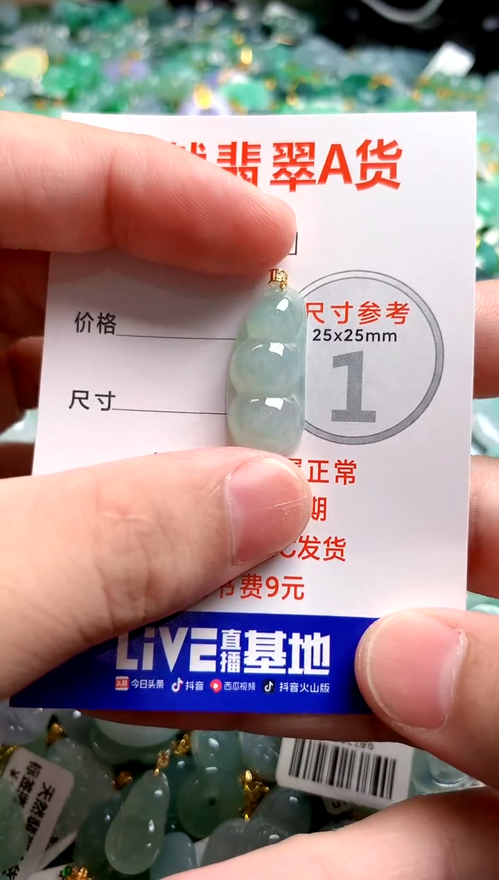 翡翠18K金镶嵌颈饰23000734