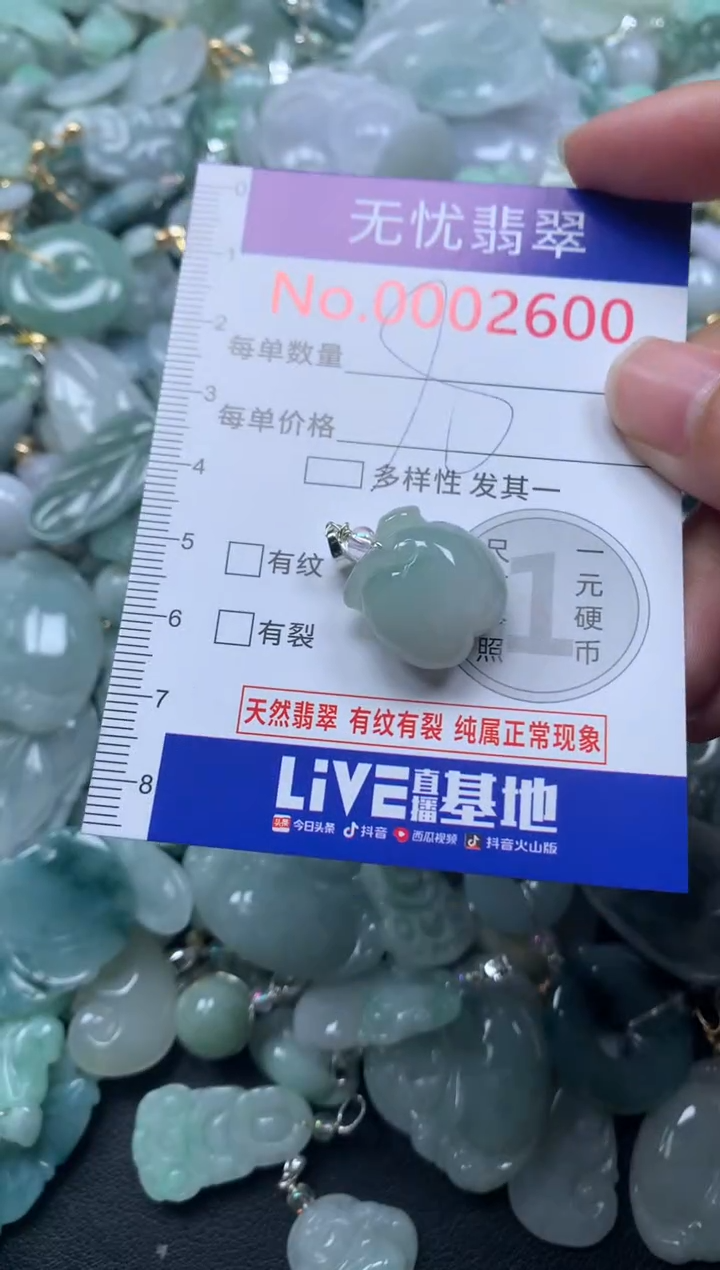 颈饰未镶嵌翡翠2600