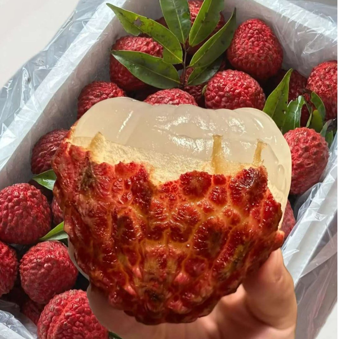 【荔枝王-顺丰冷链】海南火山口荔枝王果王当季新鲜当季水果AA