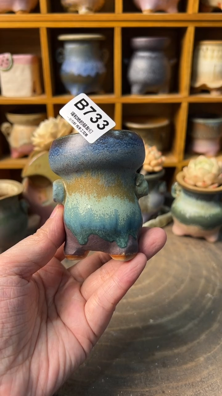 733 内口5【多肉花盆多肉盆】