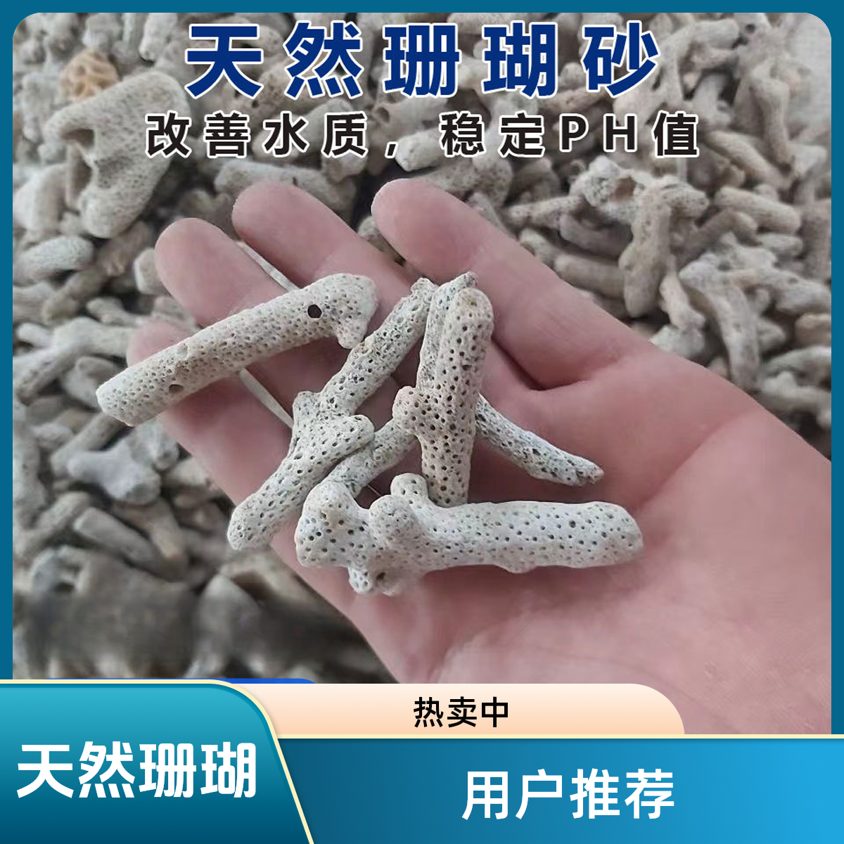 天然鱼池珊瑚石珊瑚骨珊瑚砂免洗条形大块海鲜养殖滤材用