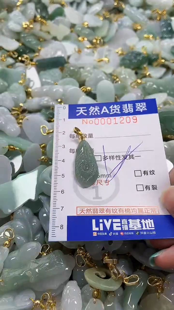 颈饰未镶嵌翡翠纯天然a货翡翠