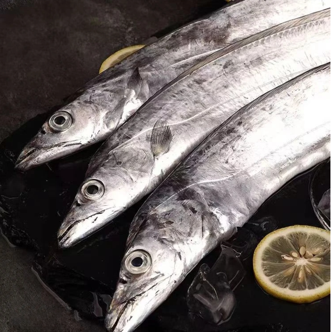 【东海】小眼鲜带鱼 纯正东海野生带鱼 肉质细嫩满口油香