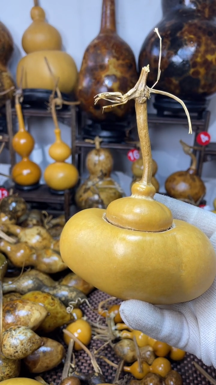 【闪购商品】葫芦葫芦葫芦葫芦葫芦