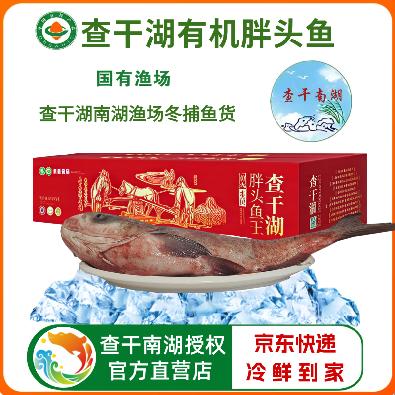 查干湖有机胖头鱼3.5-30斤 渔场直发甄选年货