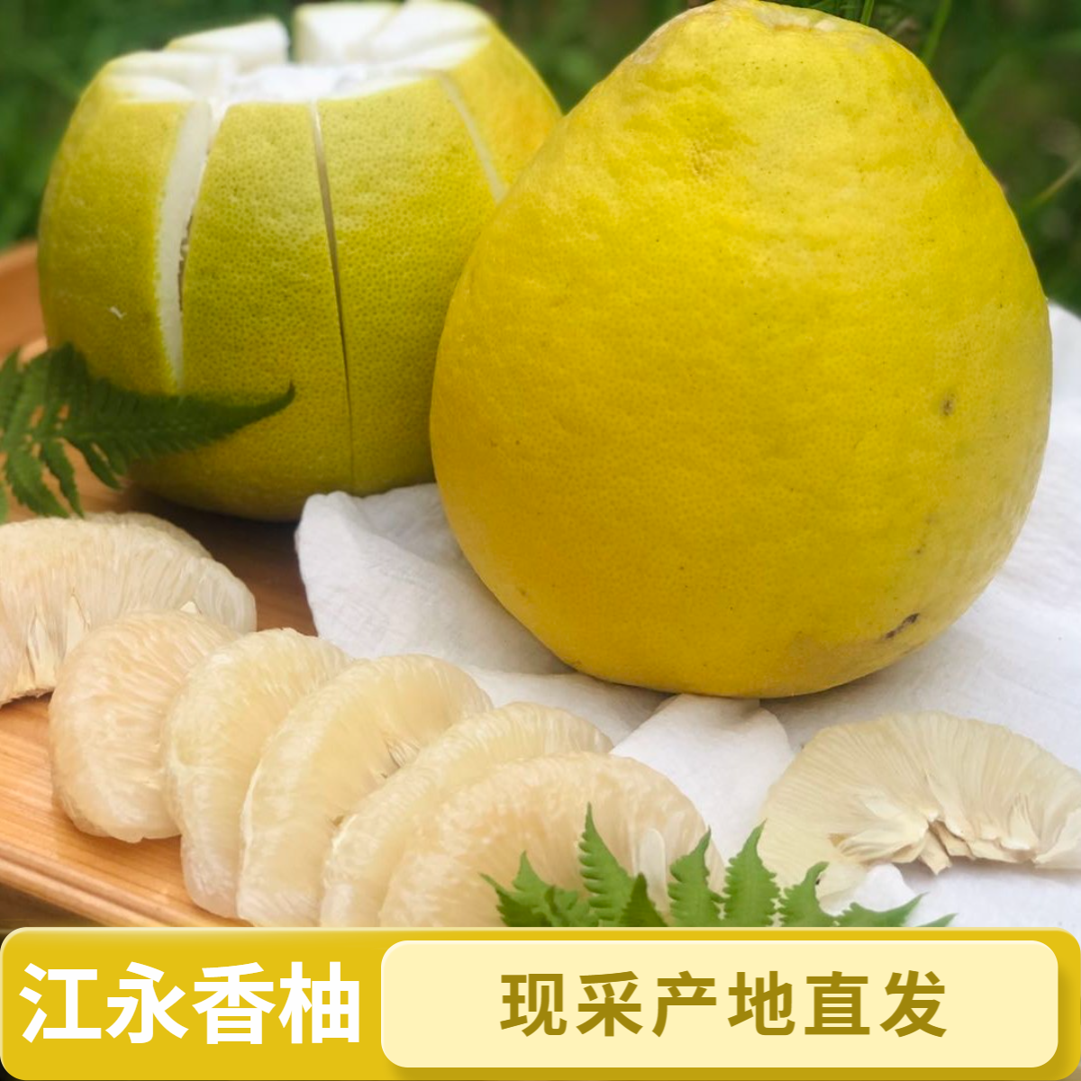 江永香柚产地直发纯甜当季鲜果包邮沙田柚5斤9斤装