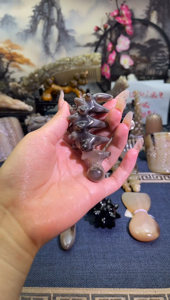 云南老白水黑金刚小刺猬