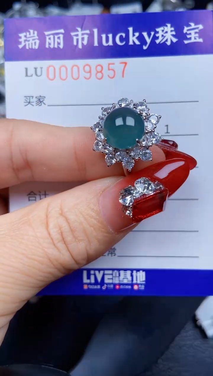 【闪购商品】翡翠颈饰银S925镶嵌9857