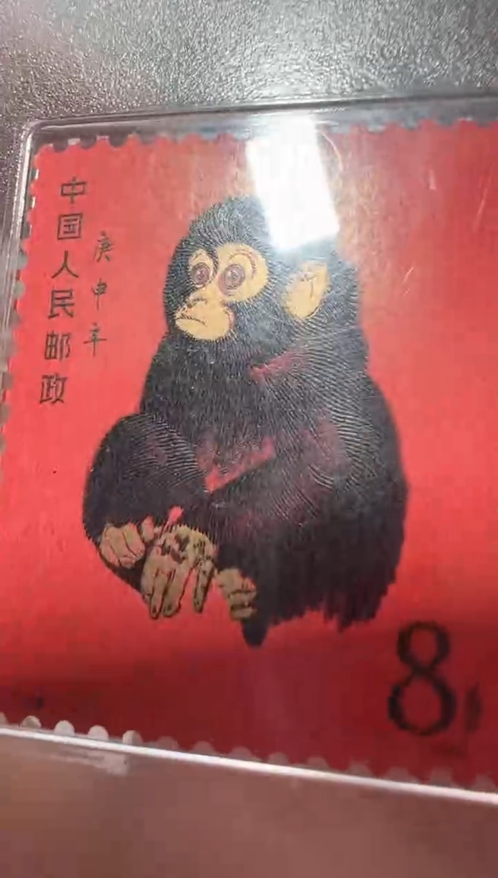 T46 一轮猴 质量保障 正品