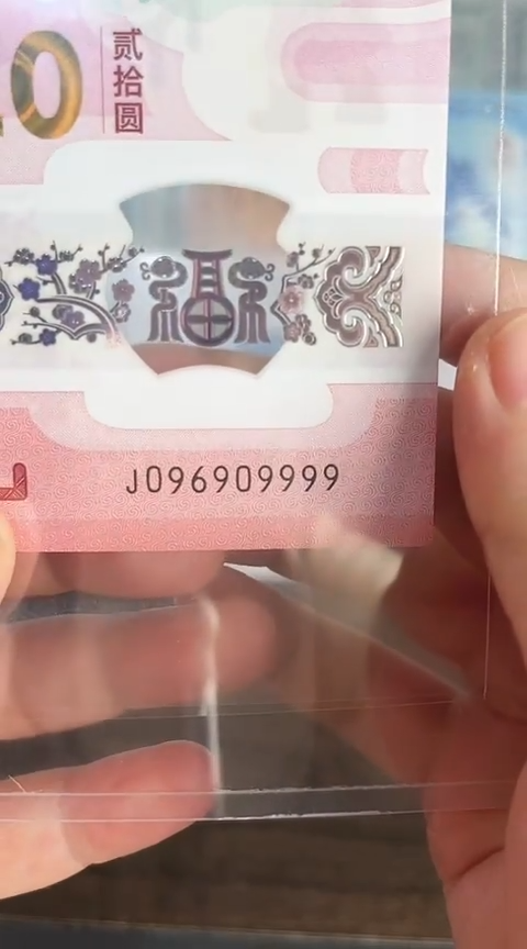 【闪购商品】塑料蛇钞包67分单张号码096909999