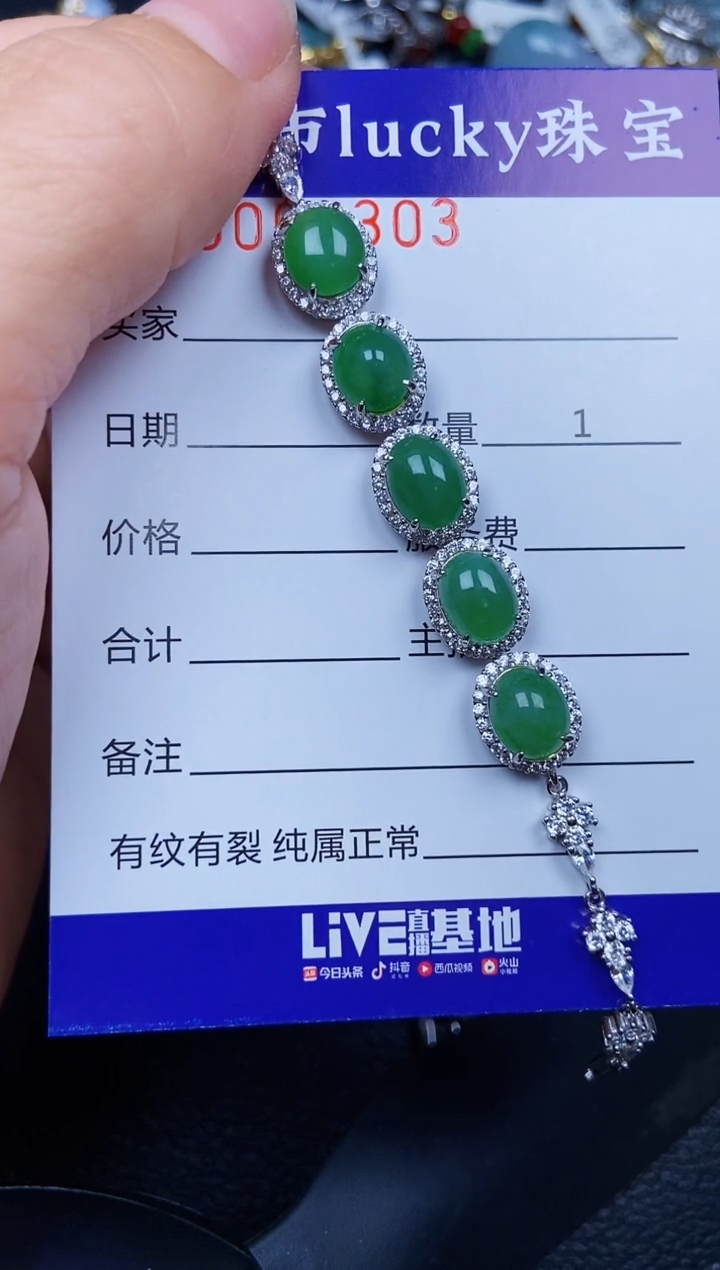 翡翠银S925镶嵌颈饰6303