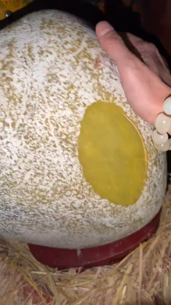 玉闪购商品高端专用连52