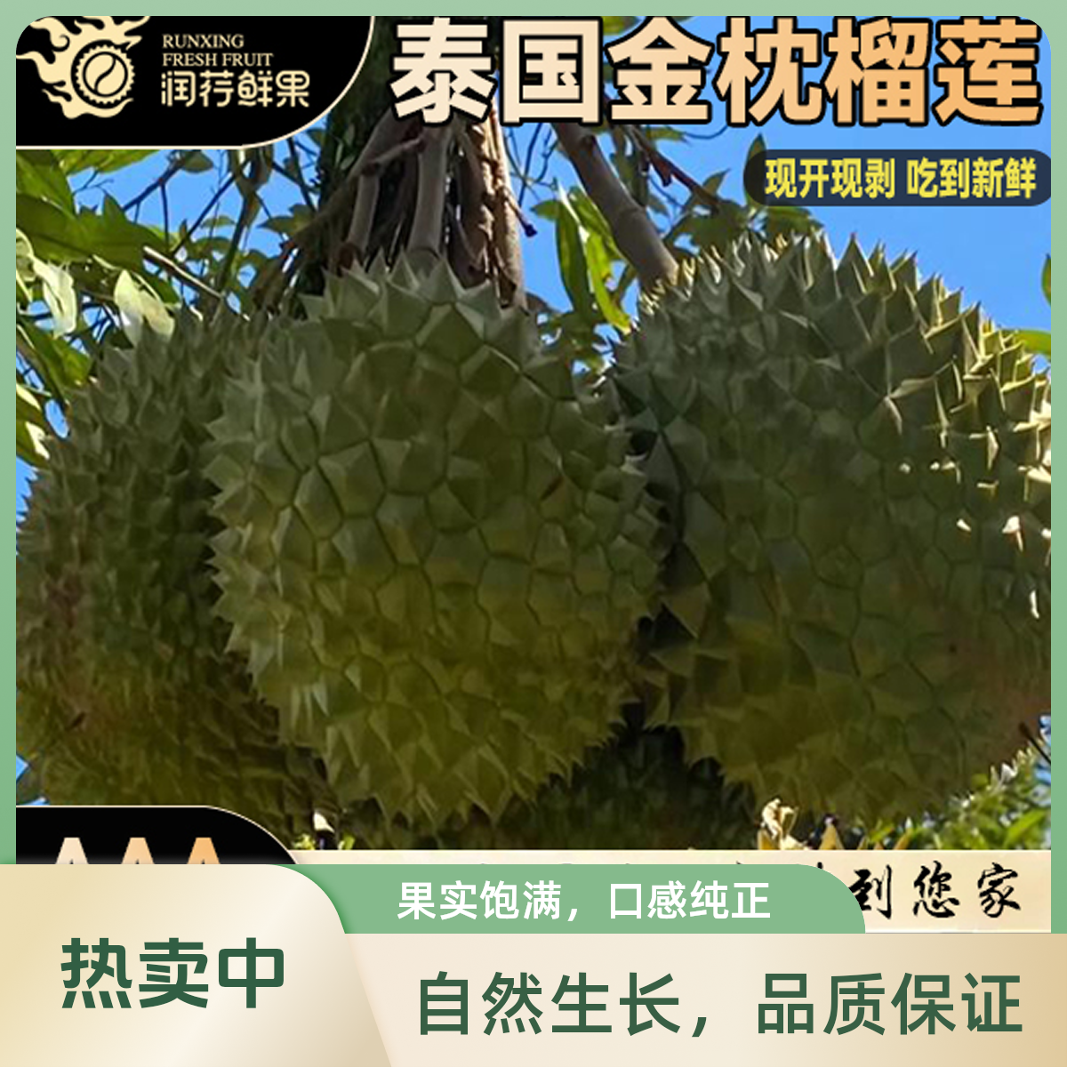 【泰国金枕榴莲】新鲜树熟香甜软糯干包软糯核小配送榴莲1-3斤金枕泰国