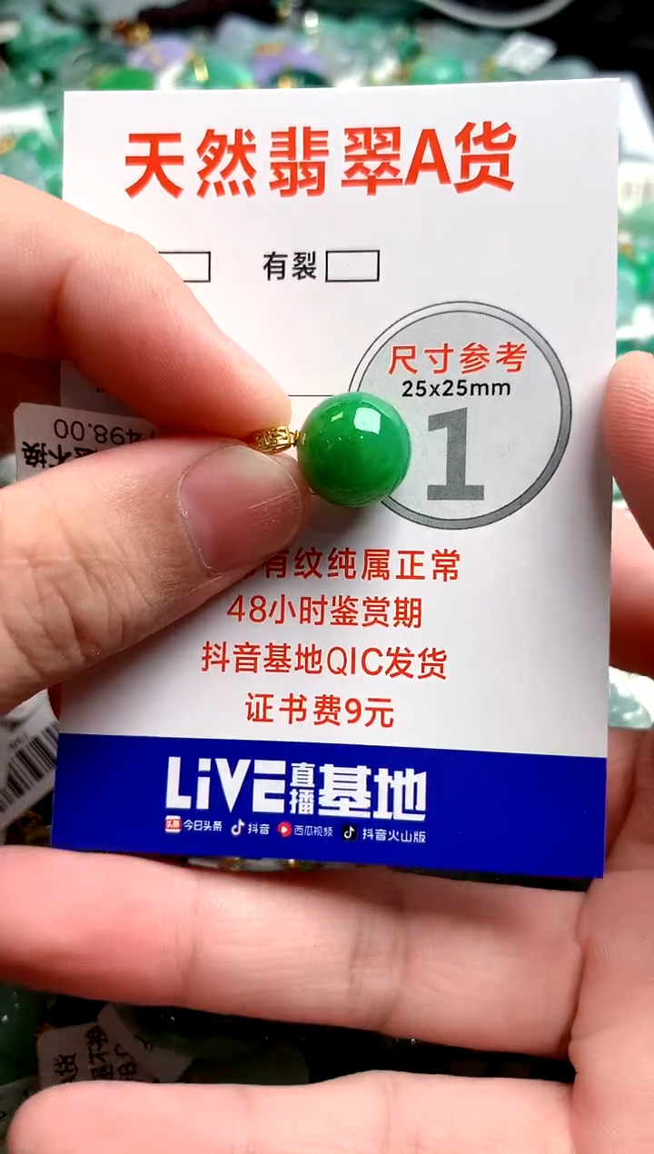 翡翠18K金镶嵌颈饰0902509091