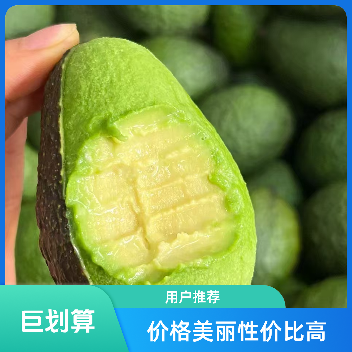 云南哈斯牛油果500g