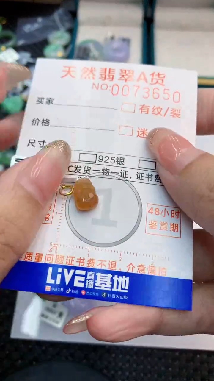 翡翠未镶嵌颈饰             8