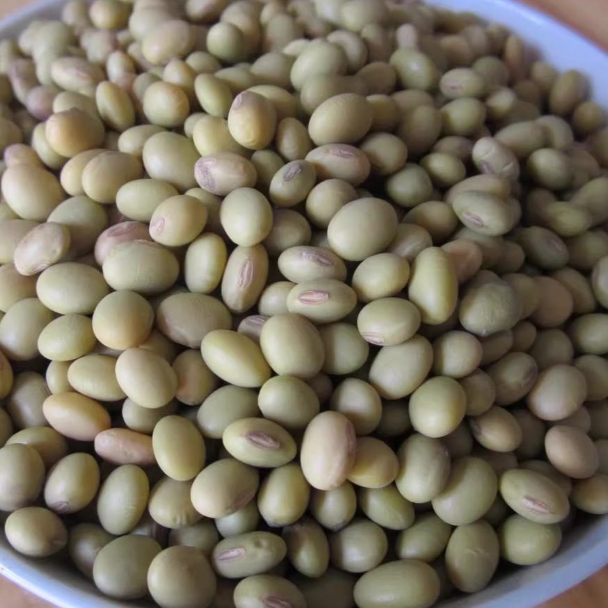 （蒋支书助农 ）青皮豆3斤 村民自己种的青皮豆自然风干晾晒