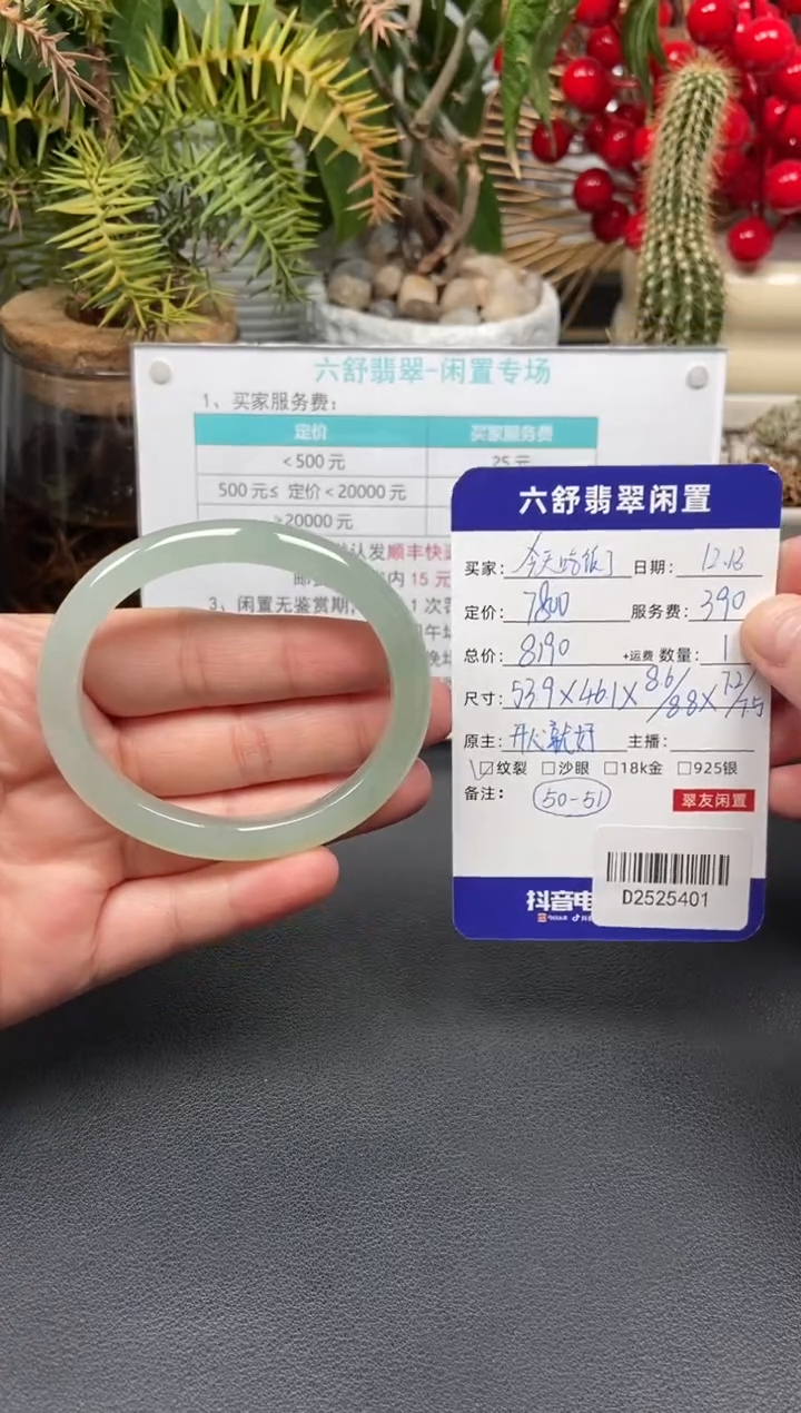 未镶嵌手镯翡翠今***了D2525401