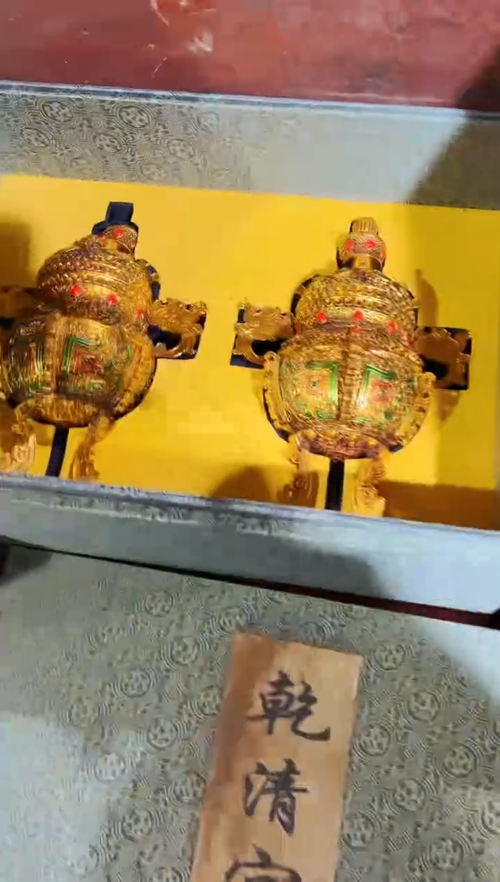 【闪购商品】硕弟弟精品精选链接74