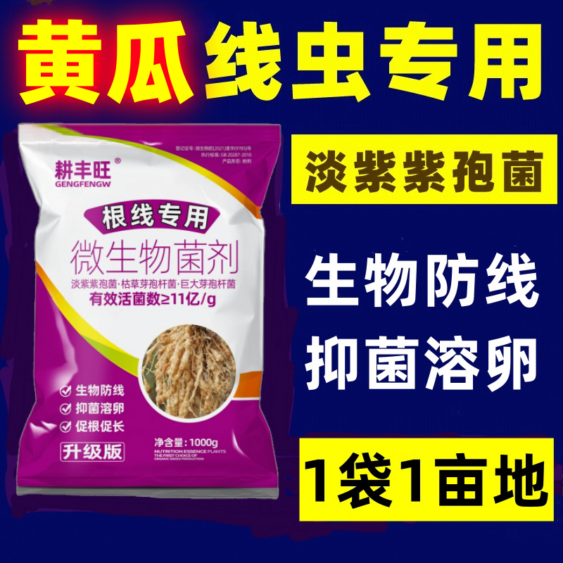 黄瓜根结线专用药淡紫拟青霉菌淡紫紫孢菌黄瓜根线黄瓜防线根线清