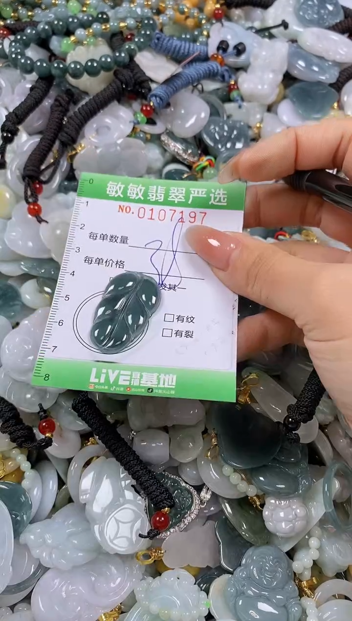 【闪购商品】翡翠颈饰未镶嵌闪购0107197