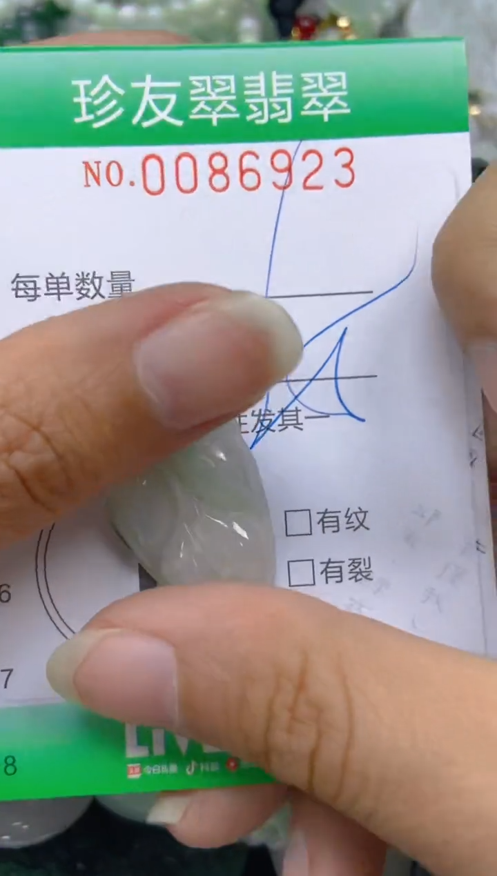 【闪购商品】翡翠颈饰未镶嵌闪购0086923