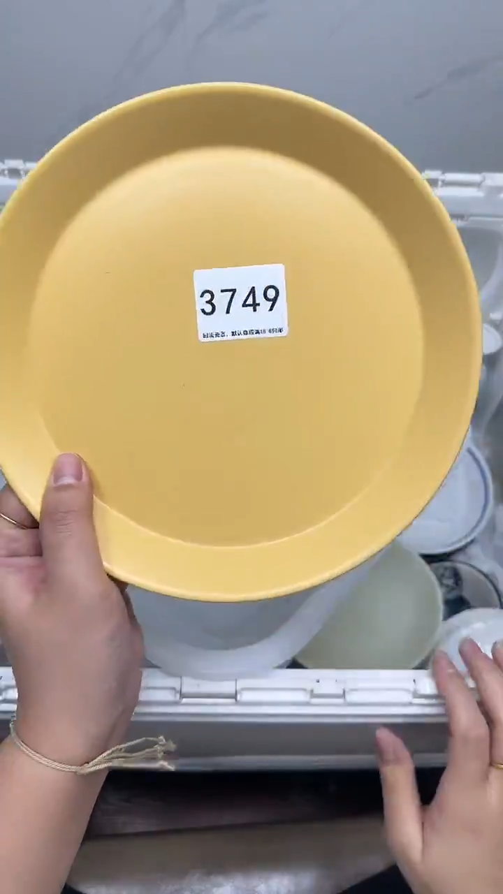 【闪购商品】3749回流瓷器默认微瑕，18.8包邮