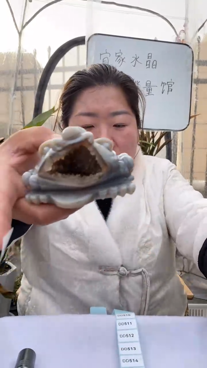 【闪购商品】玛瑙摆件未镶嵌玛瑙金蟾D509