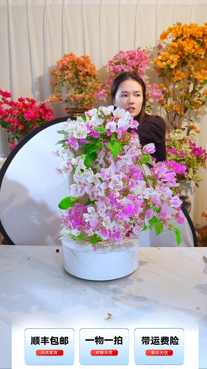 大部分开放少量花苞章红樱