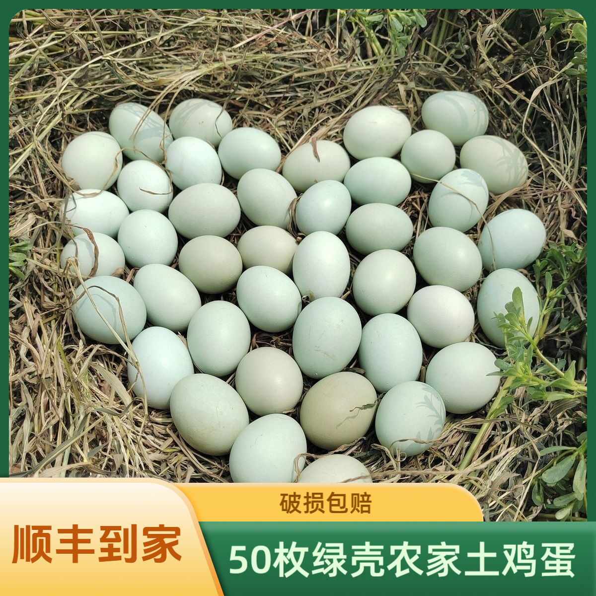 吕梁高山【一手现捡】顺丰京东包邮30枚农家绿壳鸡蛋破损包赔
